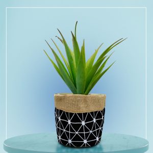 Tree-Pot-001