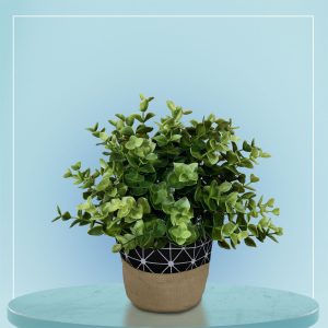Tree-Pot-003